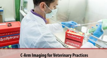 C-Arm Imaging For Veterinary Practices