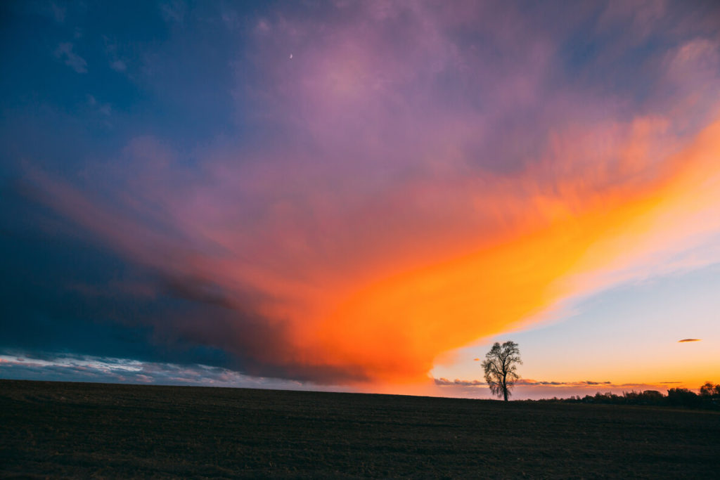 What is a Time Lapse Camera?